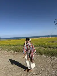 大西北你真的有點厲害!青海湖隨手拍都美!