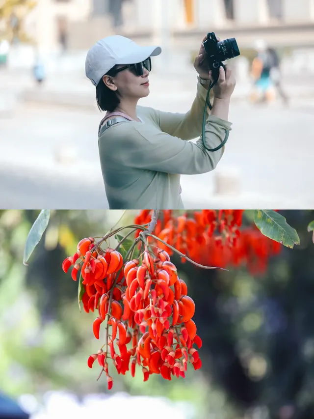 南極前序｜暴走聖地亞哥！實現車厘子自由
