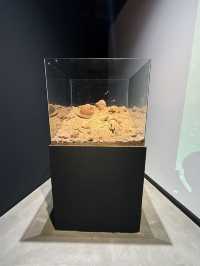 衡陽 / 為愛止戈公益中心