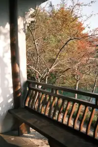 富士XT30直出! 胶片感冬日