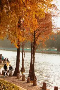 18圖帶你看深圳秋冬限定美景