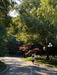 東郊秘境直出！比西郊美10倍的live級秋日畫冊