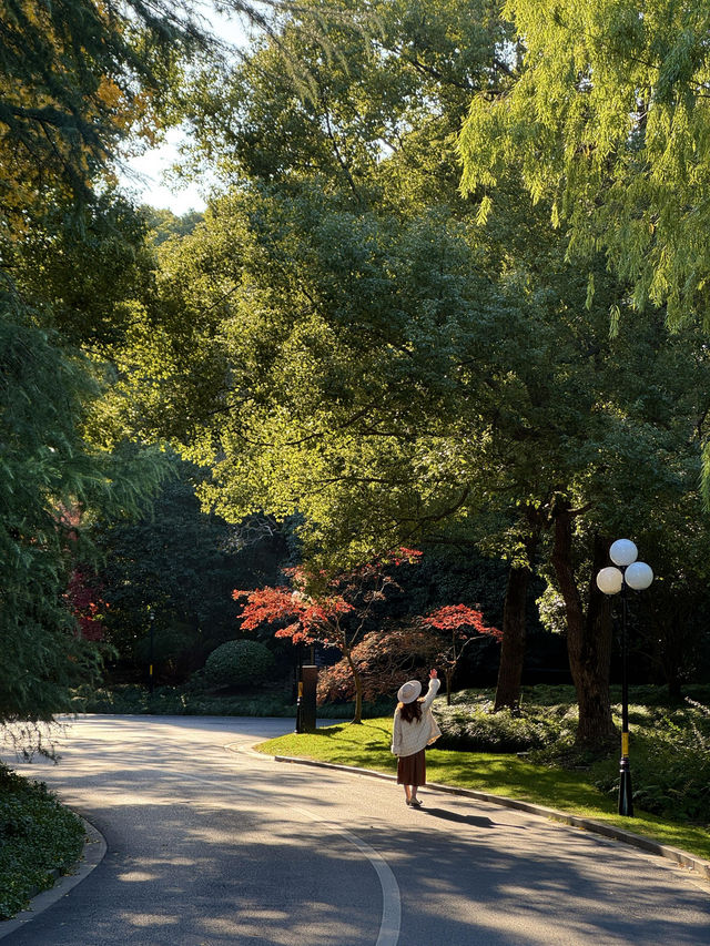 東郊秘境直出！比西郊美10倍的live級秋日畫冊