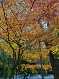 千島湖②｜秋冬環湖自駕