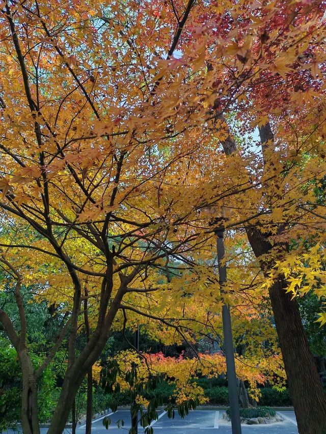 千島湖②｜秋冬環湖自駕