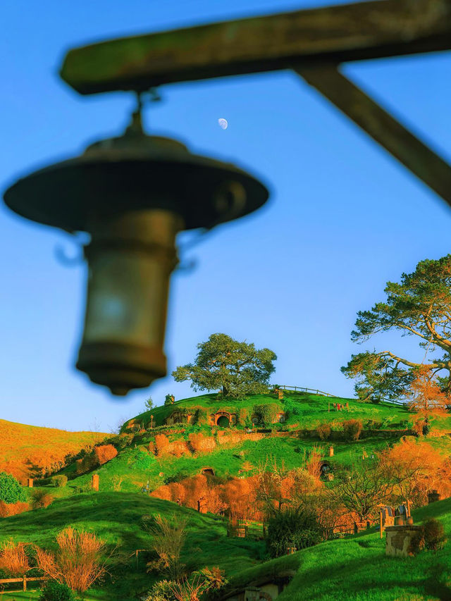 新西蘭必看小團|9天中文司導帶玩南北島