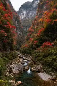 徒步賞秋天花板!這裡的秋日濃度已達90%
