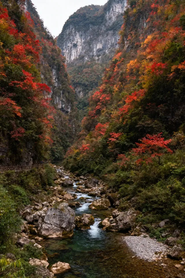 徒步賞秋天花板!這裡的秋日濃度已達90% 徒步賞秋天花板!這裡的秋日濃度已達90%
