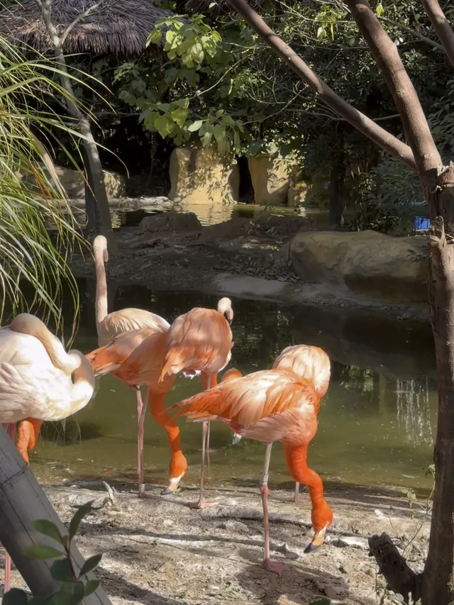 江浙滬遛娃計劃開啟第一站太湖龍之夢