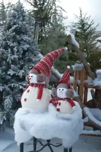 珠海下雪了在海邊拍一組冬日情書