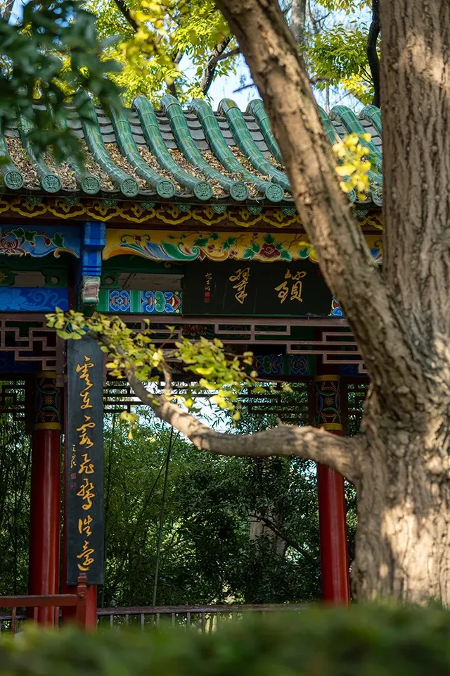 如果冬天只想去一個城市,那就是昆明 如果冬天只想去一個城市,那就是昆明