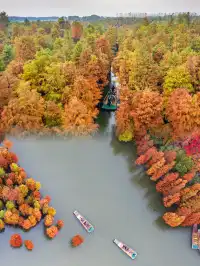 快!尚湖全紅了!現在!立刻!馬上!出發!