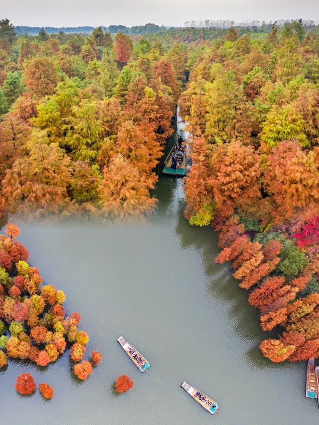 快!尚湖全紅了!現在!立刻!馬上!出發! 快!尚湖全紅了!現在!立刻!馬上!出發!