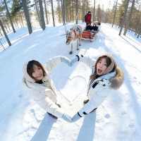 5日呼倫貝爾深度遊攻略全在這了