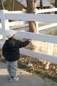 米禾農場真的去不夠|挖完紅薯拔蘿蔔