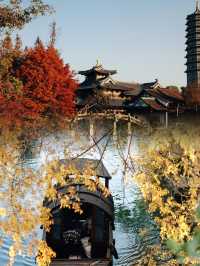 迄今為止,我最愛的江南古鎮出現啦