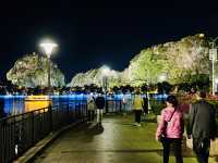 來肇慶打卡啦@夜遊七星岩