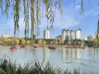 西安興慶宮｜在皇家園林裡接住最後一捧銀杏