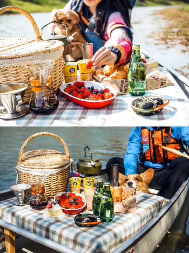 上海1h直達,海灣杉林紅啦!錯過等一年! 上海1h直達,海灣杉林紅啦!錯過等一年!