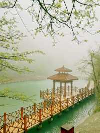 永修雲居山全攻略|禪宗祖庭與山水秘境,兩天一夜靜心之旅