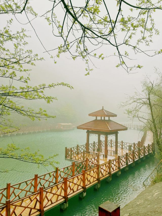 永修雲居山全攻略|禪宗祖庭與山水秘境,兩天一夜靜心之旅 永修雲居山全攻略|禪宗祖庭與山水秘境,兩天一夜靜心之旅