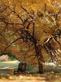 12.6共青森林公園橙黃橘綠時(附路線)