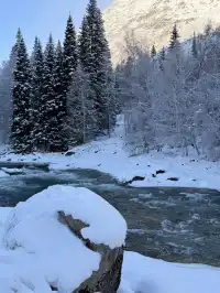 美的不真實地貌