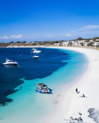 มาชมเทวดายิ้มแย้ม Quokka กันเถอะ