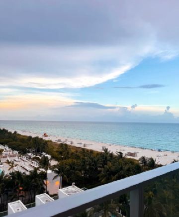 邁阿密城市漫步一日遊：陽光、微風與文化