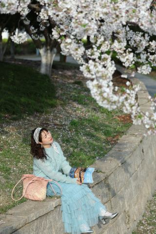 사람 적고 경치 아름다워요! 장자강 용련 벚꽃길이 당신의 봄날 로맨스를 책임집니다