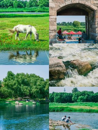 Taian hidden gem｜Enjoy a century-old ancient bridge and meet white horses on the grassland, all free!