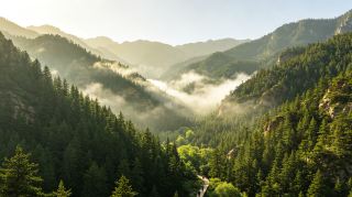 Mountain forests lock in the summer heat, the desert hides the evening breeze, Alxa’s off-the-beaten-path summer escape guide