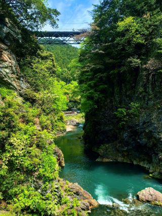 東京探検｜モネの絵画の中の峡谷秘境「鳩ノ巣」トレッキング完全記録