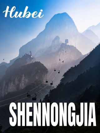 Escape to 18℃ Shennongjia for a few days of forest life