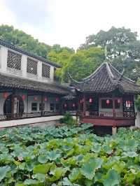 《一池慕白存雅韻 雲間古園醉千年》