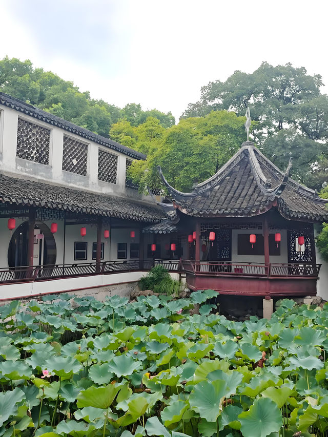 《一池慕白存雅韻 雲間古園醉千年》