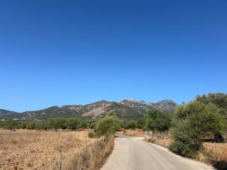 Outstanding Bike Rental Experience in Port de Pollença