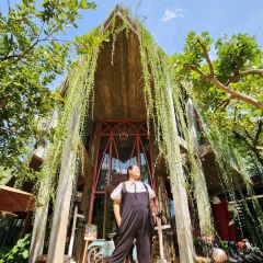 Temple Coffee n Bakery User Photo