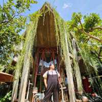 Temple Coffee n Bakery 