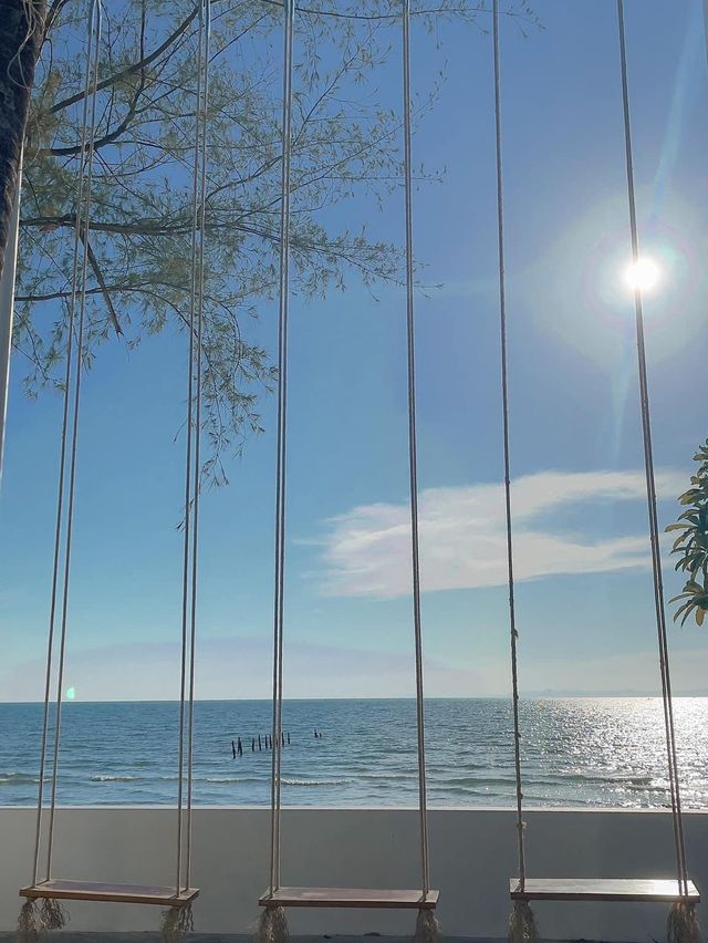 หนีแมวมา 𝙑𝙤𝙣𝙜𝙤𝙡𝙚. 𝙗𝙚𝙖𝙘𝙝 𝙘𝙖𝙛𝙚 🏝