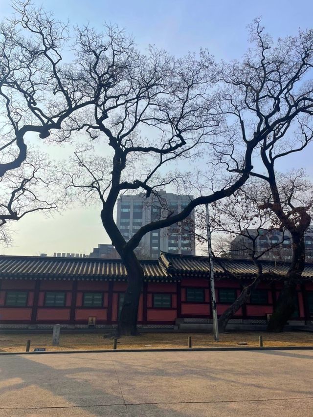 창덕궁 구석구석 알아보기/꿀팁/입장료/무료입장하는 법