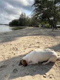 หาดสวย น้ำใส พักใจที่เกาะหมาก