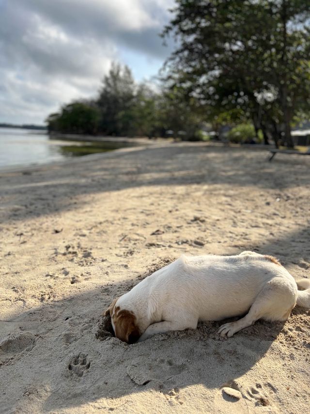 หาดสวย น้ำใส พักใจที่เกาะหมาก