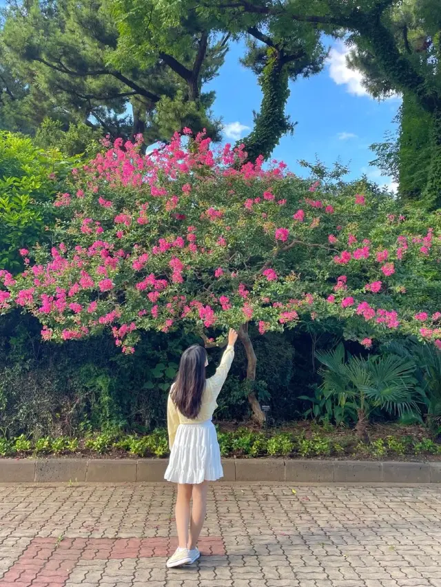 제주의 역사를 볼 수 있는 제주공항 근처 실내 볼거리✨