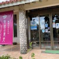 来間島　トロピカルフルーツを