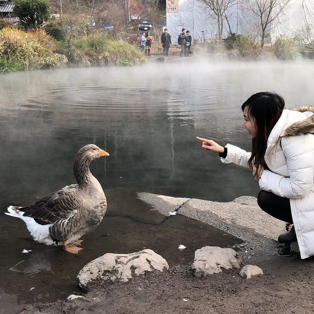 寒天早上限定嘅傳說中的仙境