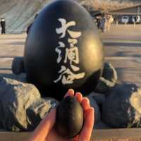 箱根大涌谷🌋 硫磺火山口♨️必嚐黑玉子🥚遠眺富士山🗻