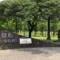 大溪河濱公園