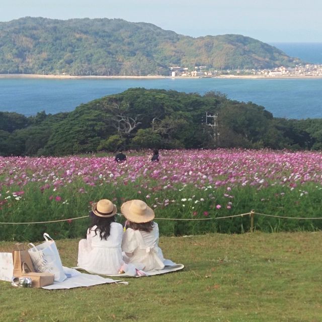 Nokonoshima Island Park เกาะดอกไม้แห่งFukuoka