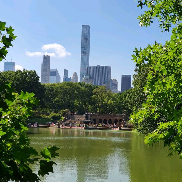 A Trip To Central Park NYC
